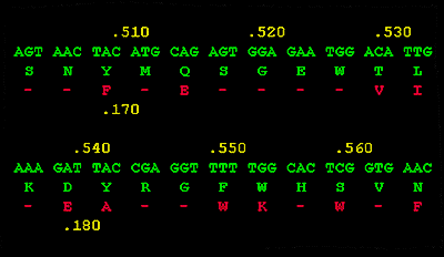 clone2.gif (13404 bytes)