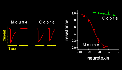tevc1.gif (9479 bytes)
