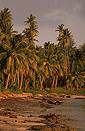 Fiji.