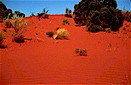 Gibson desert, Australia