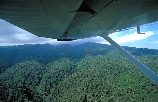 Surveying the southwestern slopes of the Kilimanjaro from a Cessna-182. Dr. Zoltan Takacs.