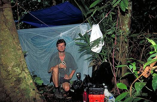 Camping in the rain forest in northern Irian Jaya, Indonesia. Dr. Zoltan Takacs.