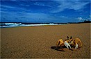 Puerto Rico