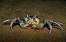 Northern Territory, Australia
