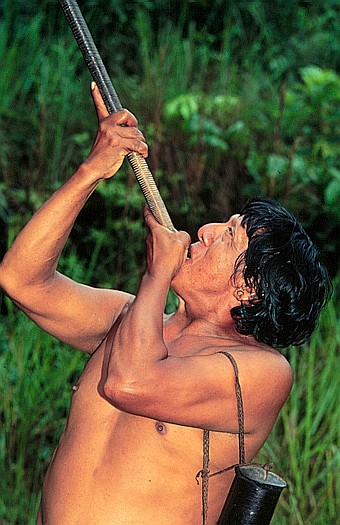 Waorani indian, southeast Ecuador. Dr. Zoltan Takacs.