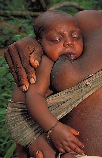 Baka pygmies along the Sangha river, Cameroon. Dr. Zoltan Takacs.